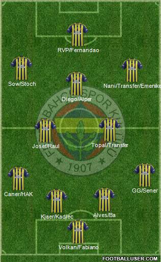 Fenerbahçe SK Formation 2015