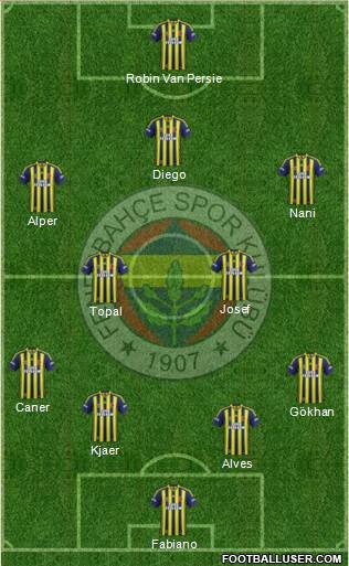 Fenerbahçe SK Formation 2015