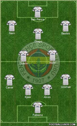 Fenerbahçe SK Formation 2015