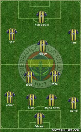 Fenerbahçe SK Formation 2015