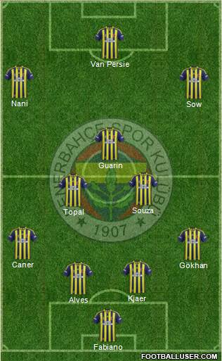 Fenerbahçe SK Formation 2015