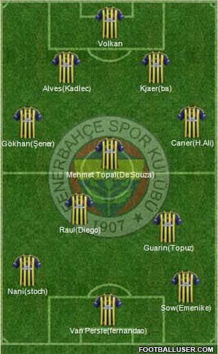 Fenerbahçe SK Formation 2015