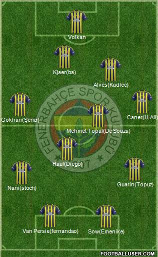 Fenerbahçe SK Formation 2015