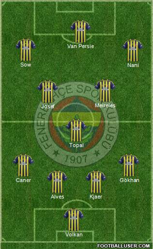 Fenerbahçe SK Formation 2015