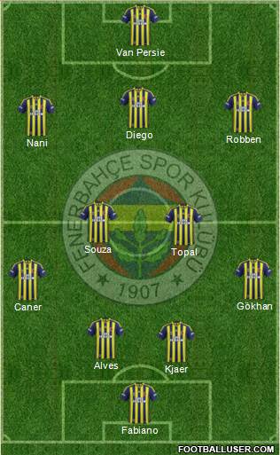 Fenerbahçe SK Formation 2015