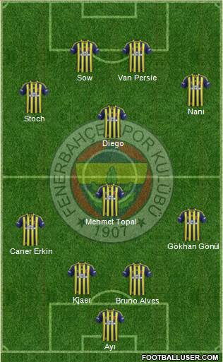 Fenerbahçe SK Formation 2015