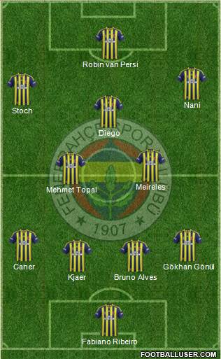 Fenerbahçe SK Formation 2015