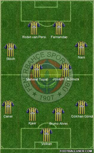 Fenerbahçe SK Formation 2015