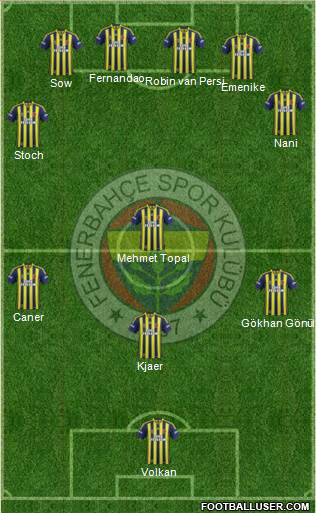 Fenerbahçe SK Formation 2015