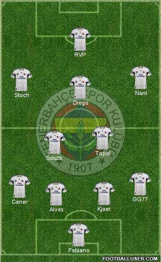 Fenerbahçe SK Formation 2015