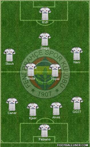 Fenerbahçe SK Formation 2015