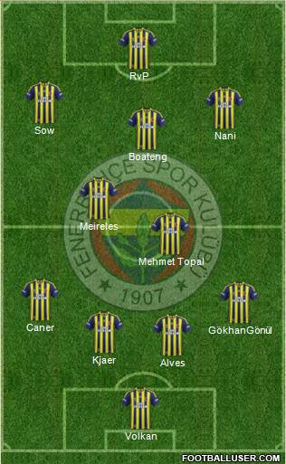 Fenerbahçe SK Formation 2015