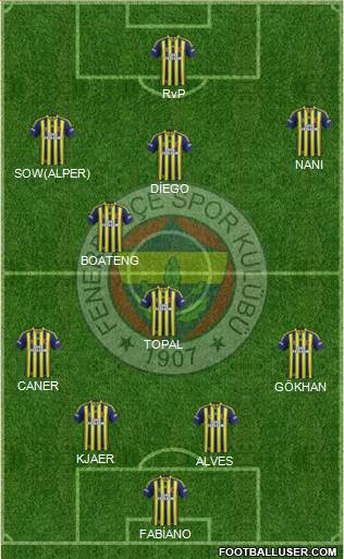 Fenerbahçe SK Formation 2015