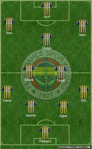 Fenerbahçe SK Formation 2015