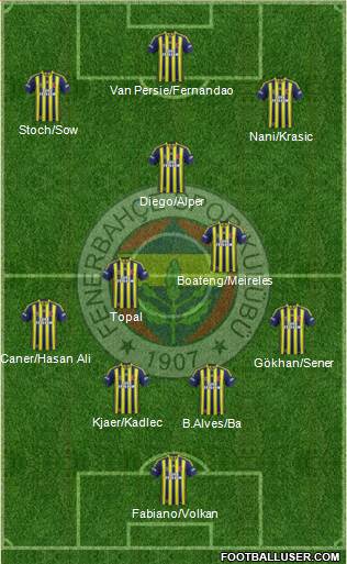 Fenerbahçe SK Formation 2015
