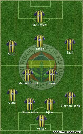 Fenerbahçe SK Formation 2015
