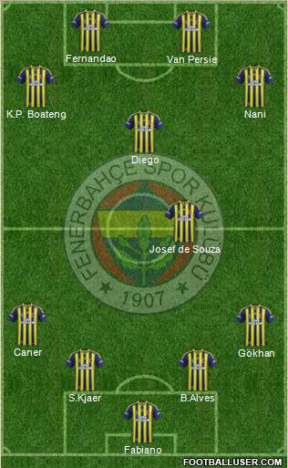 Fenerbahçe SK Formation 2015