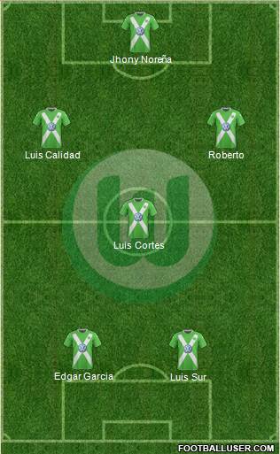 VfL Wolfsburg Formation 2015