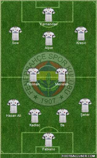 Fenerbahçe SK Formation 2015