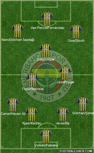 Fenerbahçe SK Formation 2015