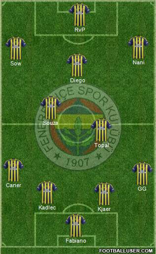 Fenerbahçe SK Formation 2015