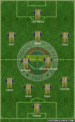 Fenerbahçe SK Formation 2015