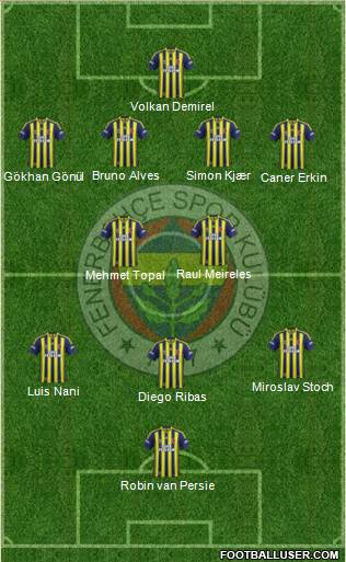 Fenerbahçe SK Formation 2015