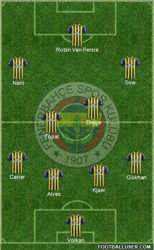 Fenerbahçe SK Formation 2015