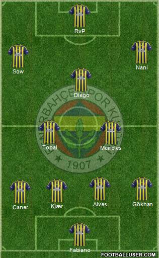 Fenerbahçe SK Formation 2015