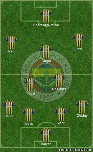 Fenerbahçe SK Formation 2015