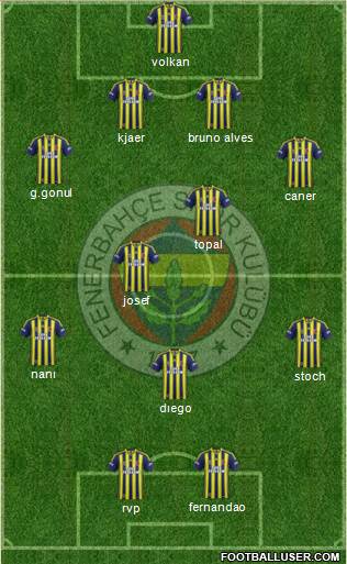 Fenerbahçe SK Formation 2015