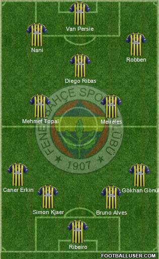 Fenerbahçe SK Formation 2015