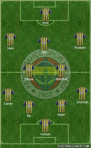 Fenerbahçe SK Formation 2015