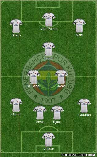 Fenerbahçe SK Formation 2015