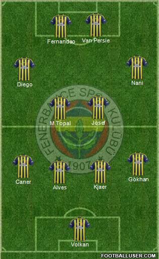 Fenerbahçe SK Formation 2015