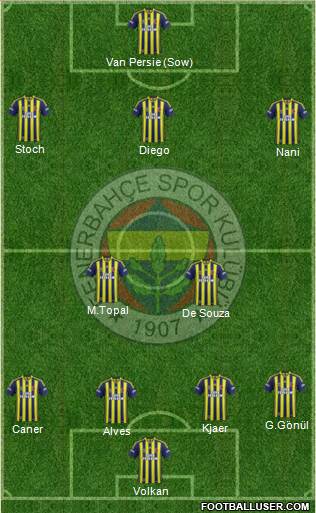 Fenerbahçe SK Formation 2015