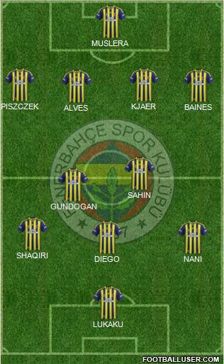 Fenerbahçe SK Formation 2015
