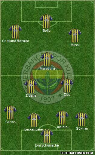 Fenerbahçe SK Formation 2015