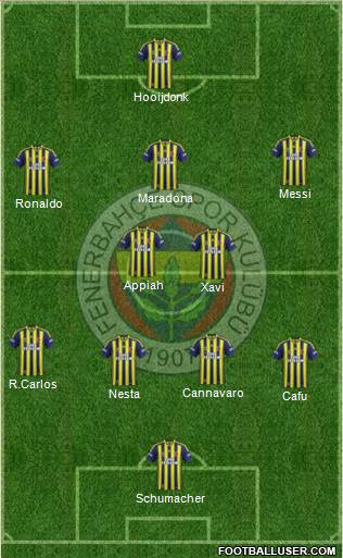 Fenerbahçe SK Formation 2015