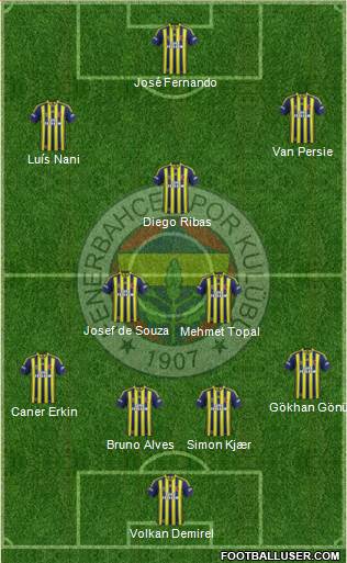 Fenerbahçe SK Formation 2015