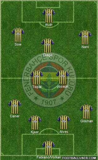 Fenerbahçe SK Formation 2015