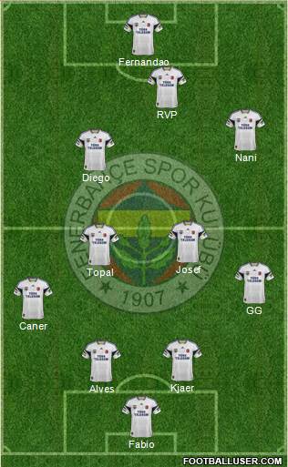 Fenerbahçe SK Formation 2015
