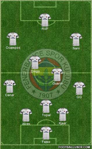 Fenerbahçe SK Formation 2015