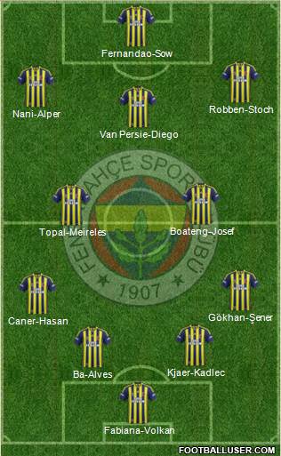 Fenerbahçe SK Formation 2015