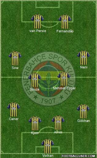 Fenerbahçe SK Formation 2015