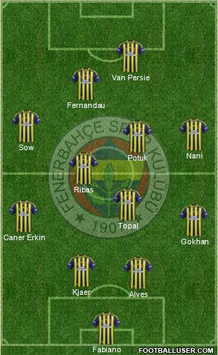 Fenerbahçe SK Formation 2015