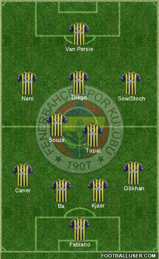 Fenerbahçe SK Formation 2015