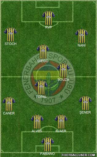 Fenerbahçe SK Formation 2015