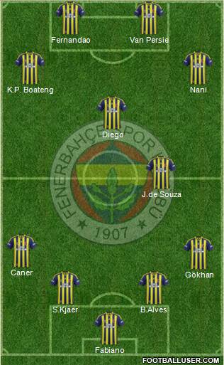 Fenerbahçe SK Formation 2015