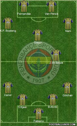 Fenerbahçe SK Formation 2015